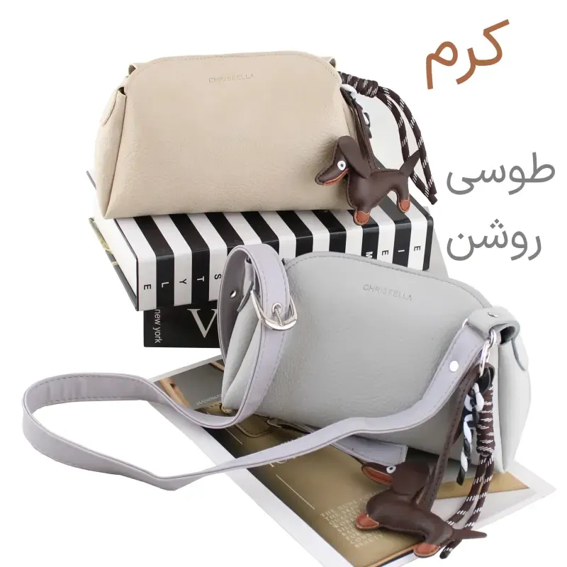 کیف پاسپورتی چرم مصنوعی زنانه اسپرت و روزمره با بند بلند و مگنت - تصویر 3
